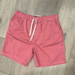 J. Crew Dock Shorts in Pink